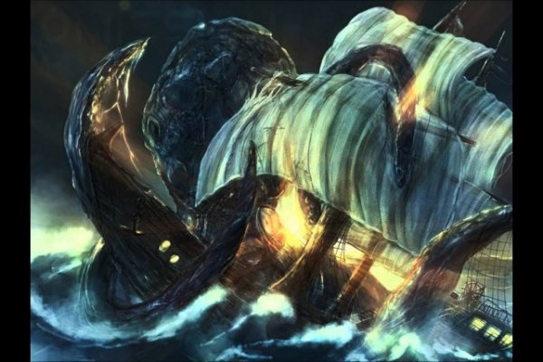 Kraken 24 top