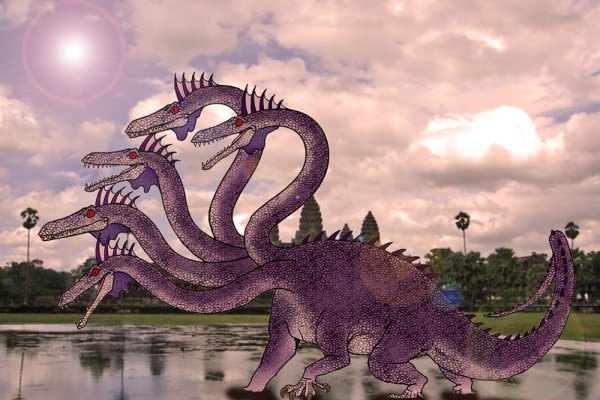 Kraken 12at