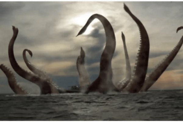 Как вывести деньги с kraken