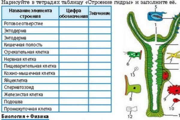Кракен это гидра