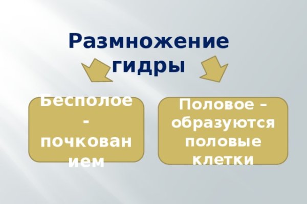 Kra42.cc